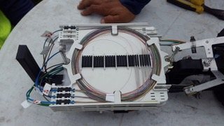 Bandeja de distribución óptica con fibras organizadas